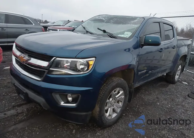 1GCGTCEN1K1193316: 44120663