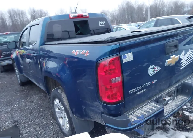 1GCGTCEN1K1193316: 44120663