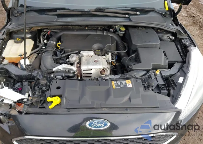 1FADP3FE7FL209346: 44121058