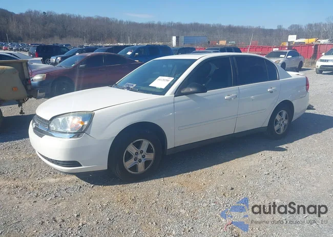 1G1ZT54874F125844: 44120200