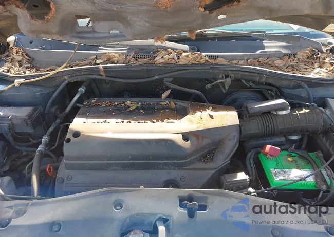 5FNRL18613B025508: 44121491