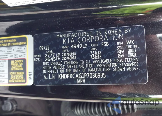 KNDPXCAG1P7036935: 44121496