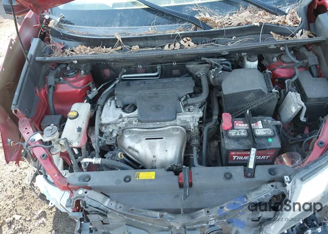 2T3BFREVXFW336341: 44121519