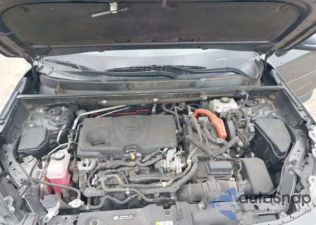 4T3B6RFV6MU006871: 44121973