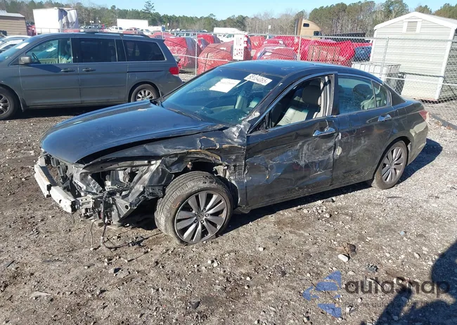 1HGCP3F88CA014865: 44122009