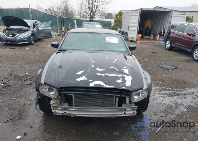 1ZVBP8AM8E5290659: 44121143