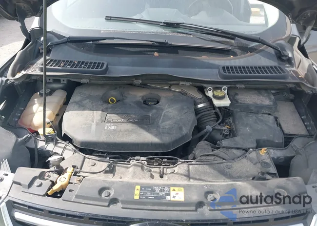 1FMCU0H94DUA04924: 44121391