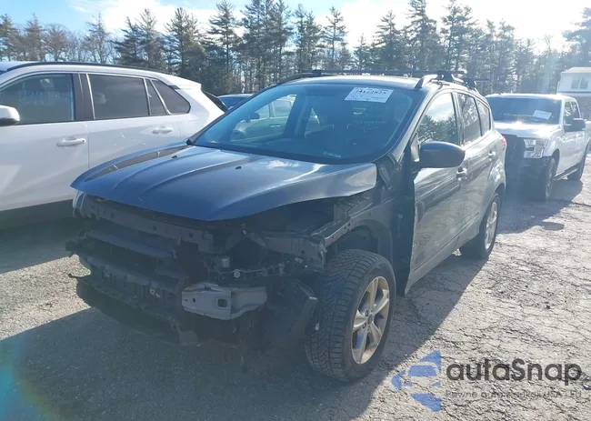 1FMCU9G99FUB76908: 44122825