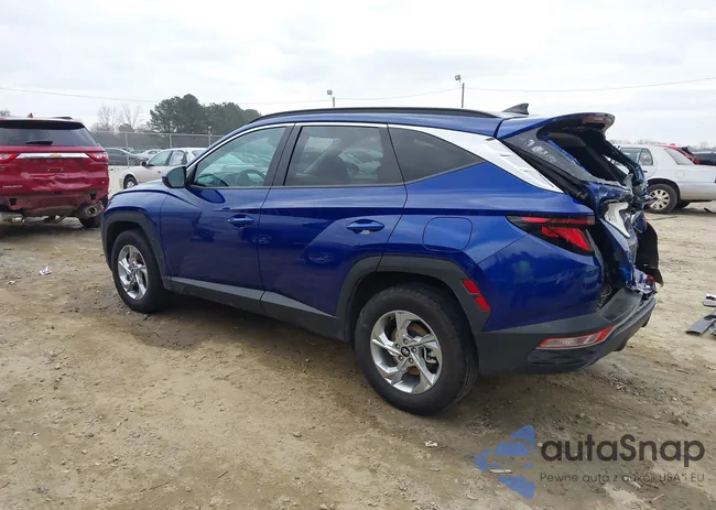 5NMJBCDE8RH316538: 44123019