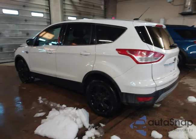 1FMCU9GX9GUB54343: 44122396