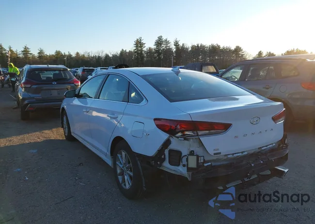 5NPE24AF8JH623669: 44123537