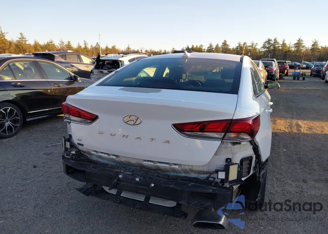 5NPE24AF8JH623669: 44123537