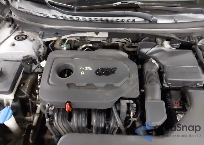 5NPE24AFXGH286429: 44123624