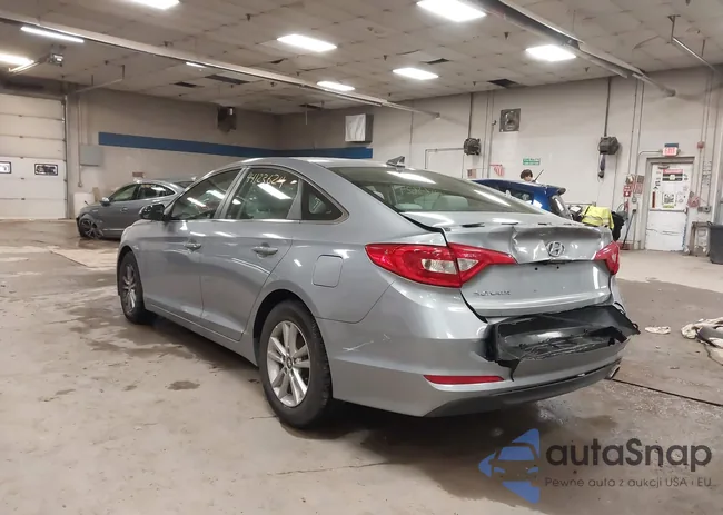 5NPE24AFXGH286429: 44123624