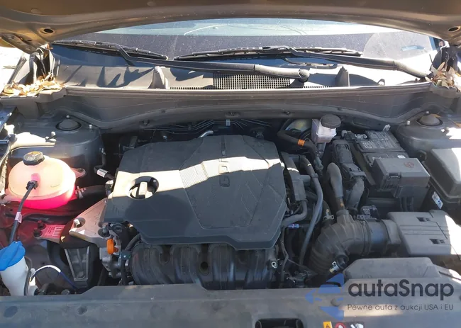 5XYK3CAF2PG115773: 44123751