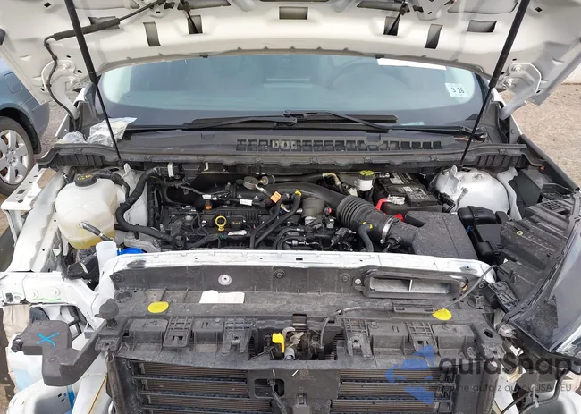 2FMPK3K94MBA11976: 44123859