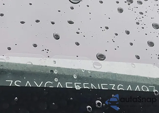 7SAYGAEE5NF364497: 44123198