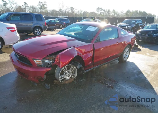 1ZVBP8AM4C5287772: 44123286