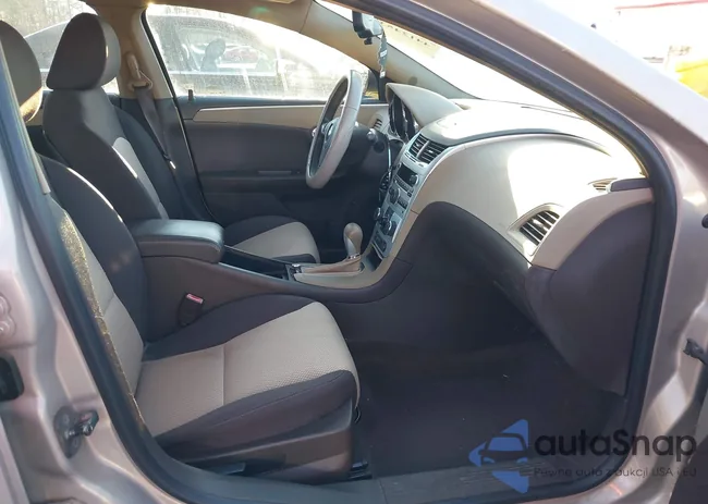 1G1ZB5EB1AF181125: 44124530