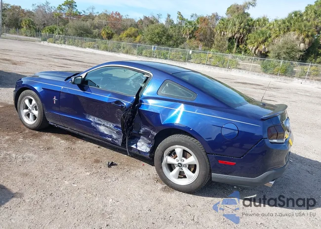 1ZVBP8AM8C5280792: 44124744