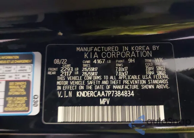 KNDERCAA7P7384834: 44124924