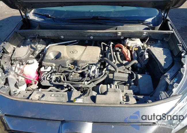 2T3RWRFV0LW058817: 44124955