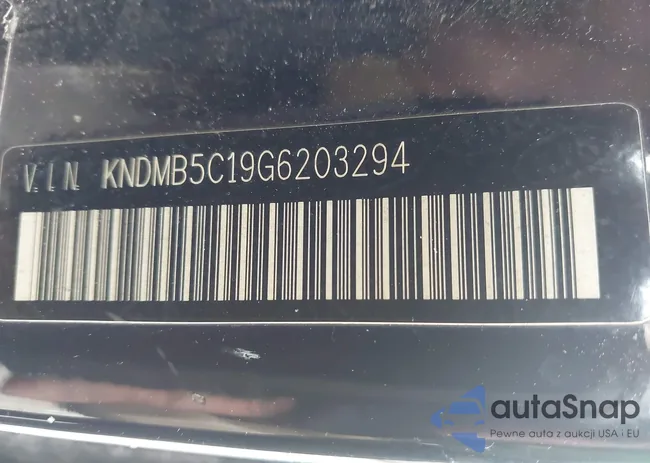 KNDMB5C19G6203294: 44125044