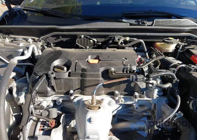 2HGFE2F53RH501663: 44124096