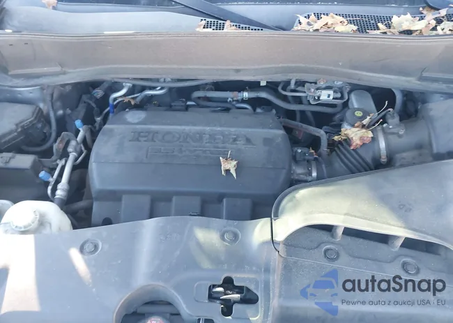 5FNYF4H51CB032003: 44124176