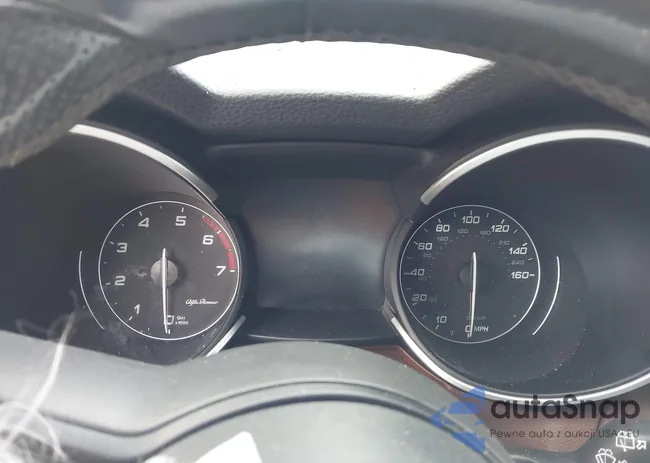 ZASPAJAN6M7D13599: 44124177