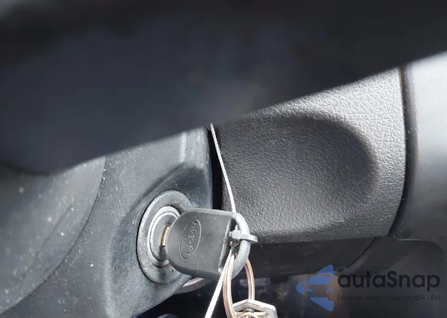 1ZVFT80N955137683: 44124477