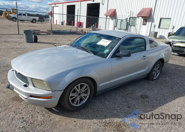 1ZVFT80N955137683: 44124477