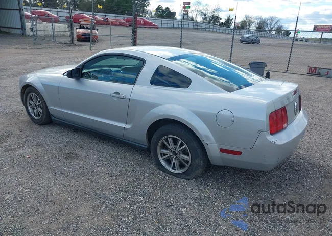 1ZVFT80N955137683: 44124477