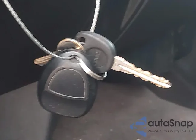 3GTEC23049G233828: 44125641