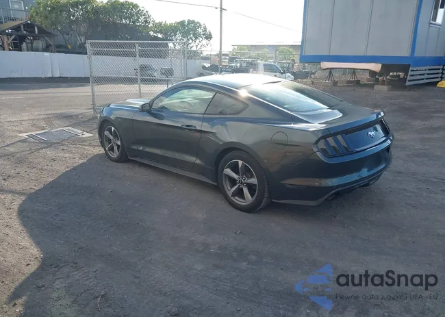 1FA6P8TH0G5269205: 44125728