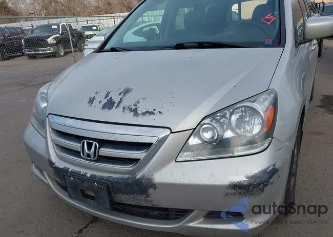 5FNRL38696B437286: 44126567