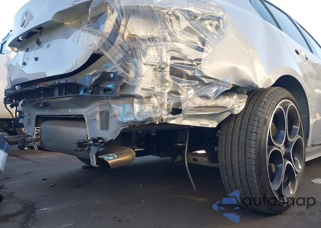 ZARFAMBNXR7677672: 44126586