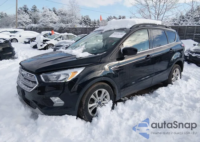 1FMCU9GDXJUC24137: 44126702