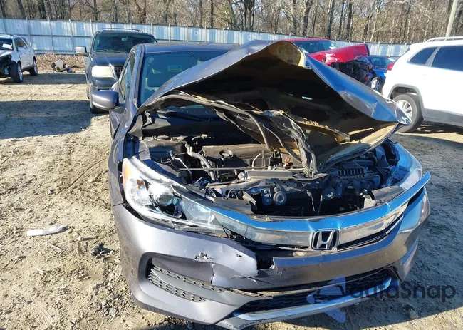 1HGCR2F33HA175897: 44128848