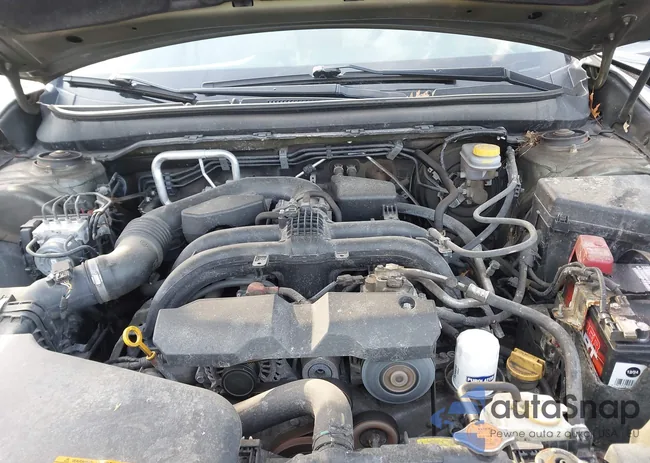 4S4BSANC1H3311888: 44129042