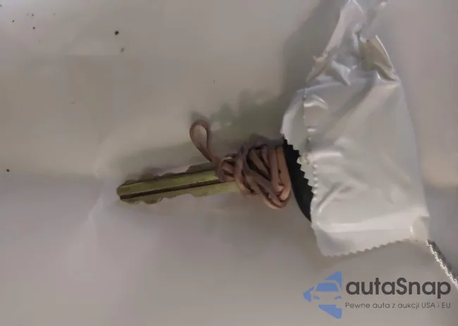 RJZ950005301: 44128168