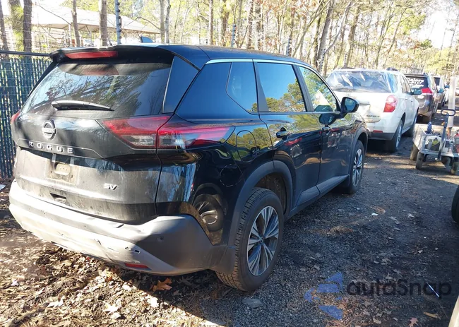 5N1BT3BA9PC856974: 44129924