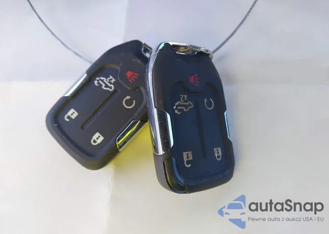 3GTU9DED7LG144204: 44130491