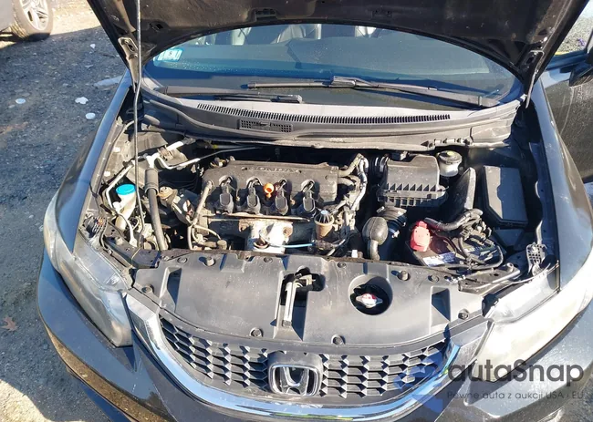 2HGFB2F97DH542494: 44130815