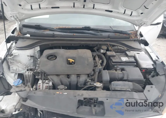 5NPD74LF7LH509997: 44131703