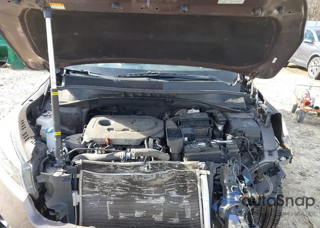 5XYPG4A38KG563434: 44131744