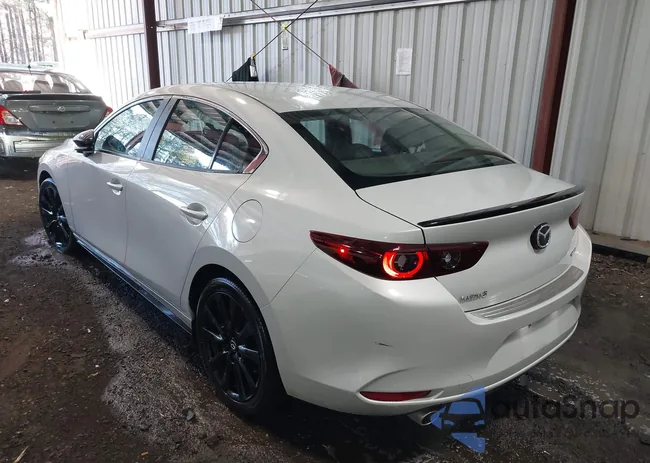 3MZBPABM8RM411521: 44131901