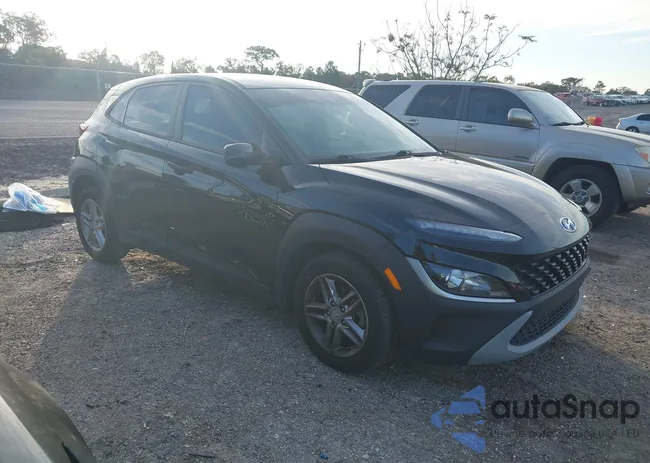 KM8K22AB4NU855410: 44131360