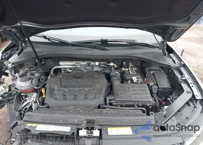 3VV8B7AX3NM000467: 44131444