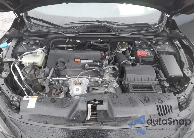 19XFC2F81LE211911: 44132769